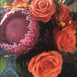 Meet your Posher, Jing